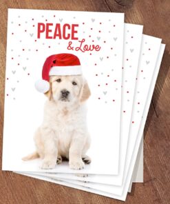 Canopy Street Labrador Love Holiday Card Pack / 25 Cards And Envelopes Pack/Festive Santa Hat Puppy Design With Greeting Inside/Dog Christmas And New Year Cards 13 71XSn L1VQL