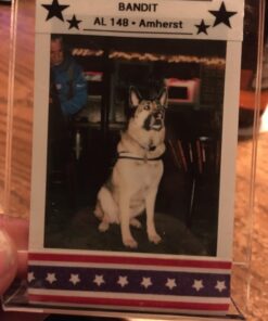 Fujifilm Instax Mini 90 Instant Film Camera (Brown) Brown Camera Only 60 71XUjhnxgjL