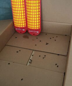 Starbar QuikStrike Fly Abatement Strip 10 71XXbnTZrpL