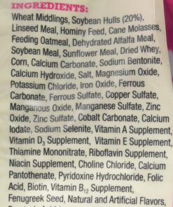 Manna Pro Bite-Size Peppermint Flavor Nuggets | Packed with Vitamins and Minerals | 1 Pound 24 71XapbTdPxL