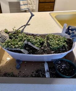 Sophia's Classic White Clawfoot Bathtub with Handheld Shower Head and Faucet Furniture Set for 18" Dolls, White/Silver 27 71Xbqy1EJML