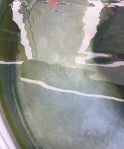 Perfect Pools Pool Spa Jacuzzi Pond Mini Jet Vac Vacuum Cleaner w/ Brush, Bag, and 4' Pole 47 71XdY3c1qWL