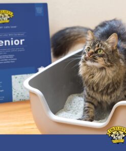 Precious Cat Senior Litter, 8lbs 16 71Xe29ZeuiL