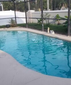 Clorox Pool&Spa Green Algae Eliminator2 32 oz 42 71Xijp cvOL