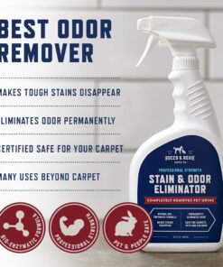 Rocco & Roxie Stain & Odor Eliminator for Strong Odor - Enzyme Pet Odor Eliminator for Home - Carpet Stain Remover for Cats and Dog Pee - Enzymatic Cat Urine Destroyer - Carpet Cleaner Spray 32 oz 24 71XkhXPZ56L 1