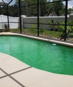 Clorox Pool&Spa Green Algae Eliminator2 32 oz 43 71Xlee90OqL