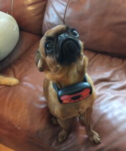 StopWoof Dog Bark Collar - Humane Care Modes, Vibration & Sound - No Shock Training Device For Small, Medium, Large Breeds - No Harm Deterrent Vibrating Control - Reflective & Automatic Without Remote 25 71Xm0qmpsdL