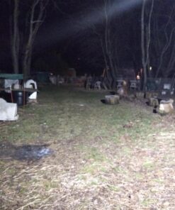 USTELLAR 2 Pack 80W LED Flood Light IP66 Waterproof Outdoor Super Bright Security Lights 800W Equiv, 5000K Daylight White Outside Floodlight Landscape Wall Lights 80.0 Watts 39 71XnSjXJbL