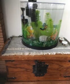 Tetra ColorFusion Starter aquarium Kit 3 Gallons, Half-Moon Shape, With Bubbler And Color-Changing Light Disc 62 71Xnp4BYf0L