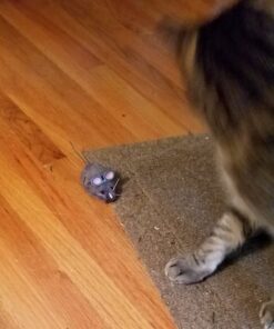 HEXBUG Mouse Robotic Cat Toy (GREY) for all breed sizes 34 71Xnus896NL