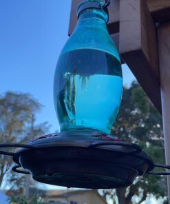 BOLITE 18001 Hummingbird Feeder, Glass Wild Hummingbird Feeders for Outdoors, Retro Edison Bulb Bottle, 25 Ounces, Green, Xmas Gifts for Bird Lovers Retro Bulb 44 71XoPq KsDL