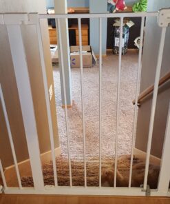 Safety 1st Easy Install 36" Extra Tall & Wide Gate, Fits Between 29'"And 47" 1 Count (Pack of 1) Extra Tall and Wide White 39 71XoWKIluL