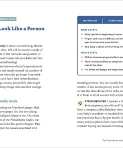 Alternative view of We're Pregnant! The First Time Dad's Pregnancy Handbook