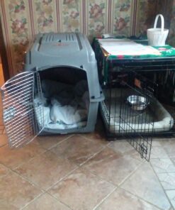 Petmate Sky Kennel, 36 Inch, IATA Compliant Dog Crate for Pets 50-70lbs, Made in USA Kennel Only 60 71Xp58E65RL