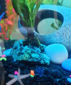 Loctite Super Glue Ultra Gel Control, Clear Superglue for Plastic, Wood, Metal, Crafts, & Repair, Cyanoacrylate Adhesive Instant Glue, Quick Dry - 0.14 fl oz Bottle, Pack of 1 38 71Xqde8djL