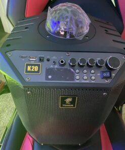 Wireless Karaoke Machine for Adults, TONOR PA System Portable Bluetooth Singing Speaker with Dual Wireless Microphones Microfono, Disco Ball for Home Karaoke, Party, Class and Church K20 Black 66 71Xqk36llcL