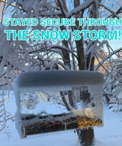 Large Clear Window Bird Feeder - Extended House with Strong Suction Cups - Steel Perch Sliding Feed Seed Tray - See Through Transparent Big Birdhouse - Wild Finch, Cardinal, Blue Jay - Cool Cat Gift 92 71XqmTFNAkL