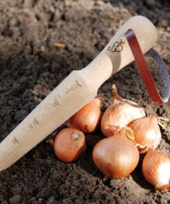 Esschert Design USA W4006 Secrets du Potager Wooden Plant Dibber 1 3 71XsfiTa5vL