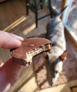 SlimFast Low Carb Chocolate Snacks, Keto Friendly for Weight Loss with 0g Added Sugar & 3g Fiber, Peanut Butter Chocolate, 14 Count Box (Packaging May Vary) Peanut Butter Snack Cup 31 71XttVC3RsL