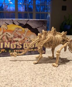 Large Dinosaur Excavation Kit 30 71XuQeZUliL