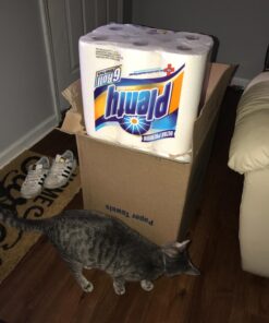 Plenty Ultra Premium Paper Towels | XL Rolls | Super Absorbent | Strong & Durable | Full Sheet | 24 Rolls 24 Rolls (Pack of 4) White 43 71XvIxAQV1L 1