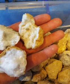 Break Your Own Geodes - Set of 12 - STEM Toy and Classroom Learning 28 71Xw5JvFgAL