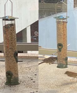 12 Inches Tube Bird Feeders for Outdoors Hanging, 4 Feeding Ports, Hard Plastic Bird Feeder Outdoor Weatherproof and 4 Inch Steel Hanger, Wild Bird Feeders, Finch Feeder, Bird Feeders Outside Hanging 1 4 Ports 47 71Xx19L3y L