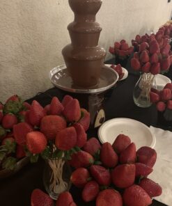 Wilton Chocolate Pro Chocolate Fountain and Fondue Fountain - Designed to Keep Chocolate Melted for Easy Treat Dipping, 3-Tier, 16-Inches Tall, 4-lb Capacity No Size Brown 31 71XyhVm5Q4L