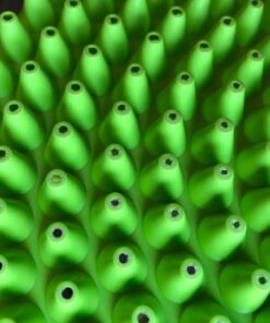 Chemical Guys DIRTTRAP04 Cyclone Dirt Trap Car Wash Bucket Insert Car Wash Filter Removes Dirt and Debris While You Wash (Green) 12" Diameter Great For Washing Cars, Trucks, SUVs, RVs & More Lime Green 40 71Y afSEf2L