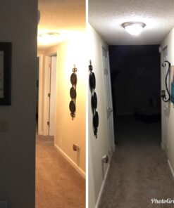 Philips LED Frosted A19 Light Bulb, Non-Dimmable, 800 Lumen, Daylight (5000K), 9W=60W, E26 Base, 16-Pack Daylight (5000k) 16 Count (Pack of 1) 53 71Y1Fws8JmL