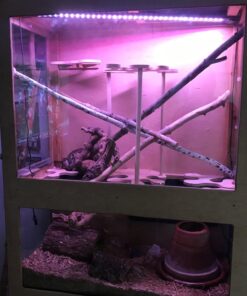 Finnex Planted 24/7 Fully Automated Aquarium LED, 36-Inch Not Controllable 36 Inch 30 71Y2IoN8GcL