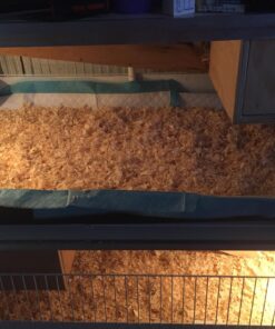 Simple Solution Extra Large Training Puppy Pads - 3 in 1 Attractant - Absorbs Up to & Cups of Liquid - 28x30in - 50 Count 50 ct 27 71Y3FVL6WxL