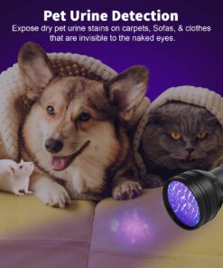 Escolite UV Flashlight Black Light, 51 LED 395 nM Ultraviolet Blacklight Detector for Dog Urine, Pet Stains and Bed Bug 51 UV LED Flashlight 20 71Y3fPWCs3L