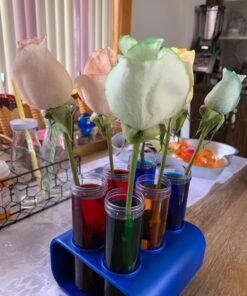 Learning Resources Measuring Tools, Jumbo Test Tubes (LER2788) 21 71Y3pLuVxL