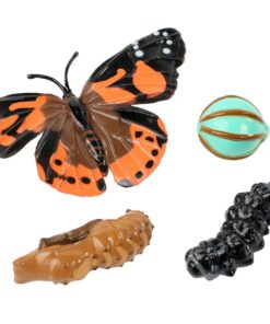Insect Lore 5 Live Caterpillars Cup of Caterpillars Butterfly Kit Refill - Plus Butterfly Life Cycle Stages Toy Figurines - Shipped Now 45 71Y5 chC6bL