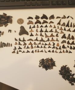 SE 13 1/4 Inch Stackable Classifier Gold Prospecting Pan - 1/8 Inch Stainless Steel Mesh Sifting Pan, Green Pans 23 71Y7ZobpLVL