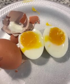 Hamilton Beach Electric Hard Boiled Egg Cooker, 3-in-1: Boiled Egg Cooker, Poacher & Omelet Maker, Can Hold 7 Eggs, Black with Silver Knob (25500) 57 71Y8FWn60sL