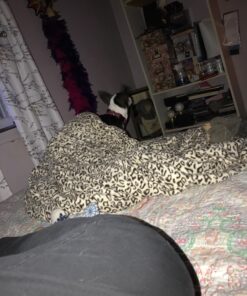 Sunbeam Royal Ultra Walnut Heated Personal Throw / Blanket, Cozy-Warm, Adjustable Heat Settings 33 71Y8l4ugnL