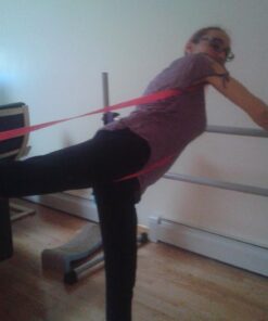 The PlumBand Stretch Band for Dance and Ballet – Colors and Sizes for Kids & Adults – Improve Your Splits, Strength, and Flexibility with Stretching – Printed Instruction Booklet and Travel Bag Plum Purple Regular 38 71Y96ew9kqL