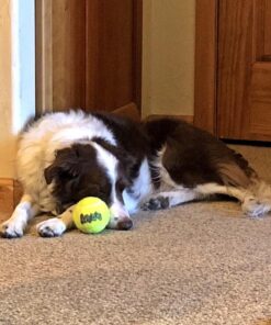 SqueakAir Ball Large Large (Pack of 1) Standard Packaging 26 71YEO4Y70KL