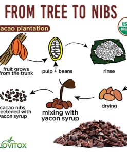 Cacao Nibs Naturally Sweetened with Yacon Syrup | Raw Organic, Sugar Free, Keto, Paleo and Vegan Friendly | Antioxidant and Protein Rich Criollo Chocolate Snack by Alovitox | 16 oz (2 x 8 oz) 10 71YG4nFdt1L