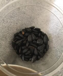 Roasted Sunflower Seads Babkinu - 1 lb/500g by Babkiny 14 71YH5ULdeBL