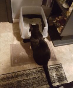 IRIS USA Open-Top Cat Litter Box with Shield and Scoop, Black Regular 50 71YIFkyxxL