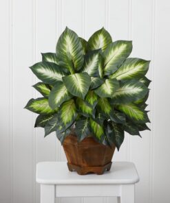 Nearly Natural Triple Golden Dieffenbachia with Wood Vase, Green, 20" x 18" x 22" 29 71YL0uoKBEL