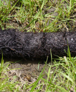 Drain King H34 Unclogs Sewer Lines, Main, and Outside Deck Drains, 3 To 4 Inch 13 71YL2QG7KuL