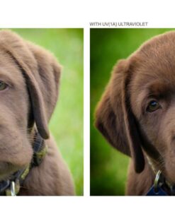 High Grade Multi-Coated, Multi-Threaded, 3 Piece Lens Filter Kit Compatible with Sony Alpha A6000 (40.5mm) 8 71YOyaLmGL