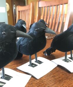 PREXTEX 6pcs Black-Feathered Small Crows Halloween Decorations | Outdoor&Indoor Decor | Fake Bird, Halloween Birds, Scary Ravens, Decorative Crows, Raven | Home, Fence, Porch, Tree, Party Decoration 37 71YQ5AE8vML