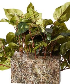 Alternative view of Nearly Natural 15in. Pothos Ledge Plant (Set on Foam) Silk Plant,Green