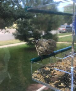 Lyric Supreme Wild Bird Seed - Wild Bird Food Mix with Nuts & Sunflower Seeds - Attracts Many Beautiful Songbirds - 4.5 lb bag 26 71YRXP1kiVL