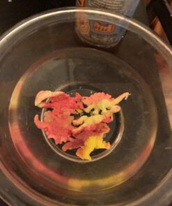 Jofan 24 PCS Dinosaur Eggs That Hatch Growing Easter Eggs with Mini Dinosaur Toys Inside for Kids Boys Girls Easter Basket Stuffers Gifts Fillers Party Favors Supplies 37 71YSCN XokL